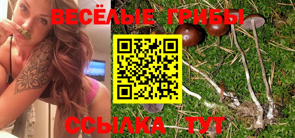 Галлюциногенные грибы Psilocybine cubensis Жигулёвск