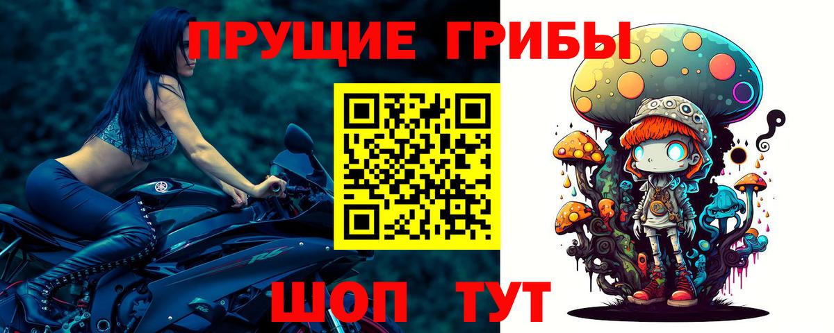Псилоцибиновые грибы MAGIC MUSHROOMS Жигулёвск